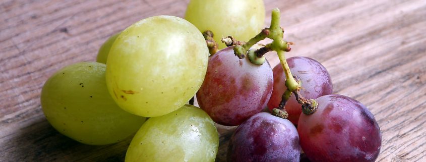 racimos de uvas